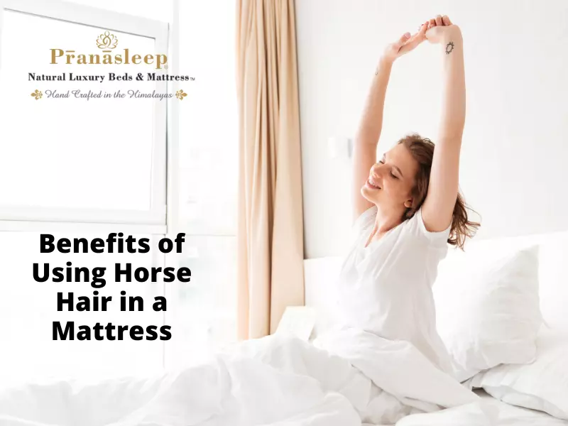 Horse Hair Mattress